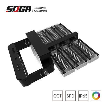Buy Gary or Black Housing Color Rugged IP66 LED Stadium Lights with Flexible Fixtures and Detachable Driver Box online manufacture