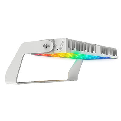 LED Sports Field Lights AC180-528V Input Voltage and 9°/13°/18°/55°/Asymmetric 45/60N/60M Beam Angle for Performance
